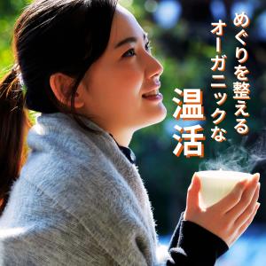 オーガニック 粉末しょうが 生姜パウダー 10...の詳細画像3