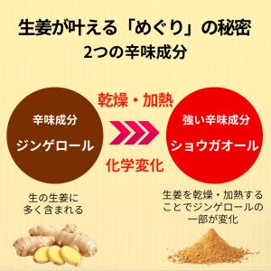 オーガニック 粉末しょうが 生姜パウダー 10...の詳細画像5