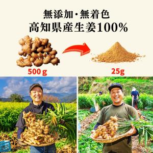 生姜パウダー 国産 しょうがパウダー 25g ...の詳細画像1