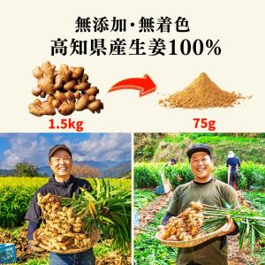 粉末しょうが 生姜パウダー 国産 75g 高知...の詳細画像1