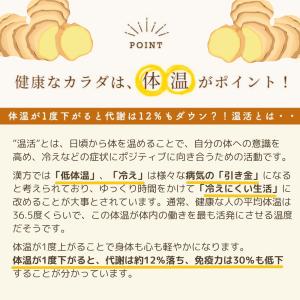 粉末しょうが 生姜パウダー 国産 75g 高知...の詳細画像3
