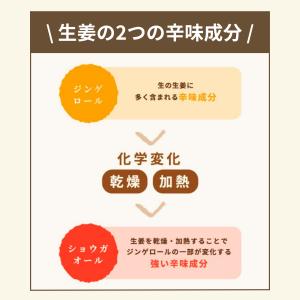 粉末しょうが 生姜パウダー 国産 75g 高知...の詳細画像4