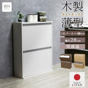 dinos 掃除用品 キッチン 分別 ペダル式薄型分別ダストボックス dinos 掃除用品 キッチン 分別 ペダル式薄型分別ダストボックス