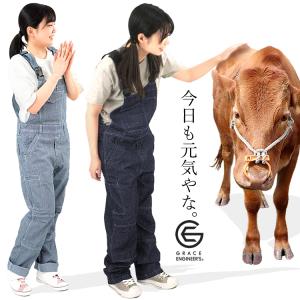 オーバーオール メンズ レディース サロペット デニム