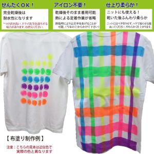 布専用絵の具くらカラー白地用青系 250gの詳細画像2
