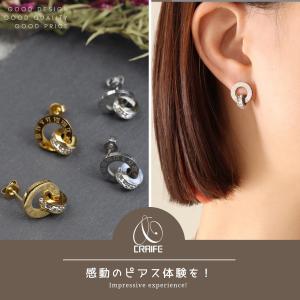 ピアス ジルコニア 金属アレルギー対応 18K...の詳細画像1