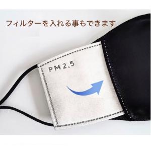 シルクマスク ポケット 立体構造 マスク イン...の詳細画像3