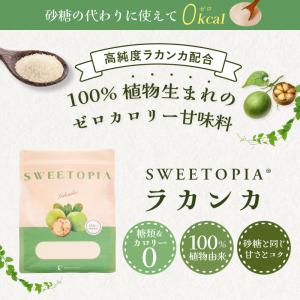 スイートピア ラカンカ 羅漢果 800g×4 ...の詳細画像1