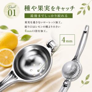 レモン絞り器 ハンドジューサー 食洗機対応 ス...の詳細画像5