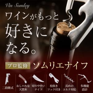 ソムリエナイフ ワインオープナー ダブルアクシ...の詳細画像4