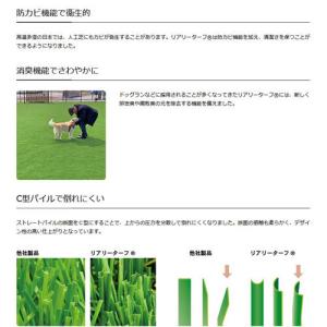 【会社様送りに限り送料無料】【メーカー直送】新...の詳細画像3