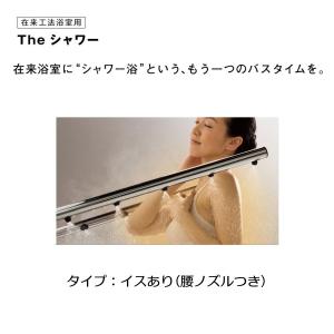 ■値下げしました■ユニットバス、ハンドルシャワー(未使用ただし一部難あり) 在来工法浴室用 Theシャワー イスなし(腰ノズルなし、吐水口あり