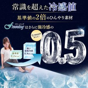 ラグ ラグマット ひんやり 接触冷感 Q-ma...の詳細画像3