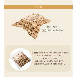 こたつ こたつ掛け布団 抗菌 防臭 防ダニ 洗...の詳細画像2