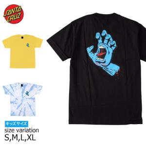 SANTA CRUZ（サンタクルーズ） SANTA CRUZ OBRIEN PURGATORY AOP S/S