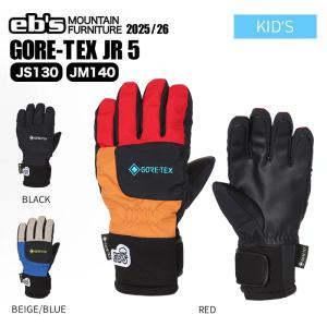 SALOMON（サロモン） QST GORE-TEX Women スキーグローブ（BLACK