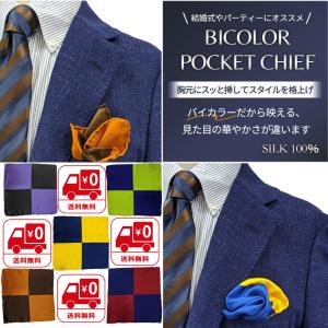 EMILIO PUCCI（エミリオプッチ） スカーフ EP5 メンズ シルク ポケット