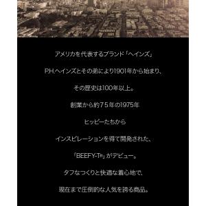 Tシャツ 半袖 ビーフィーt ヘインズ ビーフ...の詳細画像2