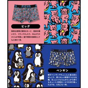 ボクサーパンツ メンズ フィークス FICUS...の詳細画像2
