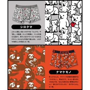 ボクサーパンツ メンズ フィークス FICUS...の詳細画像3