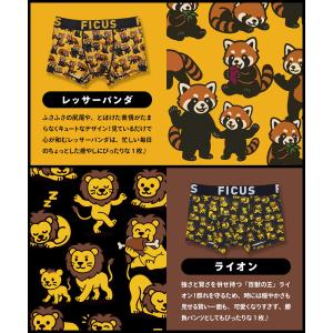 ボクサーパンツ メンズ フィークス FICUS...の詳細画像5