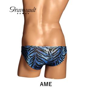 グレイブボールト ビキニ パンツ メンズ Gr...の詳細画像4