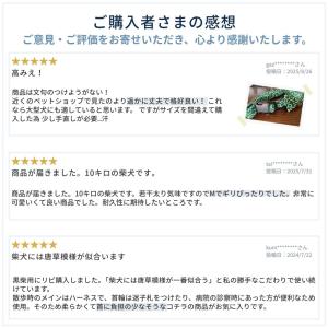 犬 猫 くびわ 首輪 おしゃれ 可愛い 唐草 ...の詳細画像1