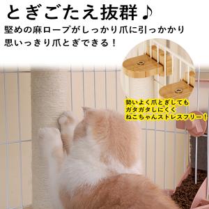猫 爪とぎ ポール ケージ用 丸型 ロープ 木...の詳細画像5