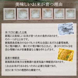 米 2kg こしひかり 令和7年産 特別栽培 ...の詳細画像1