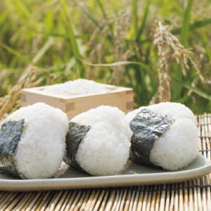 米 2kg こしひかり 令和7年産 特別栽培 ...の詳細画像2