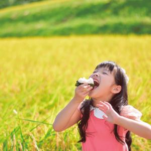 米 2kg こしひかり 令和7年産 特別栽培 ...の詳細画像3