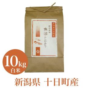 コシヒカリ 米 お米 10Kg こしひかり 無肥料 無農薬 自然栽培 大地の力 