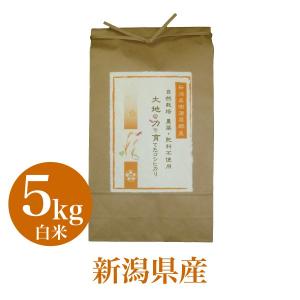コシヒカリ 米 お米 10Kg こしひかり 無肥料 無農薬 自然栽培 大地の力