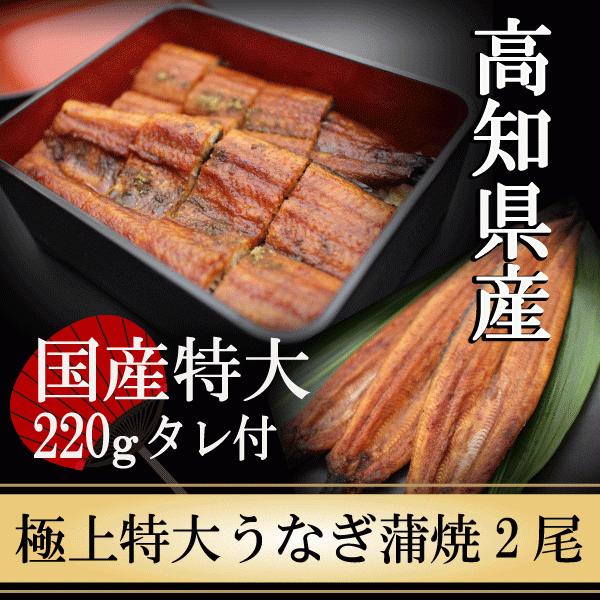 父の日 うなぎ 国産 蒲焼き 高知県産 極上特大うなぎ蒲焼220ｇ×2尾 鰻 蒲焼 ギフト プレゼン...