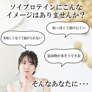 国産 無添加 ソイプロテイン お試し 神倉大豆...の詳細画像2