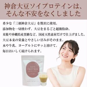 国産 無添加 ソイプロテイン お試し 神倉大豆...の詳細画像3