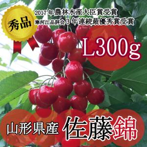 さくらんぼ 2024 佐藤錦 秀品 Lサイズ300ｇ 山形県産 送料無料 贈答品 プレゼント サクランボ 大粒 フルーツ 果物 ギフト 産地直送 高級 お取り寄せ｜crea-lelaku