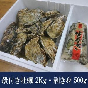 牡蠣 生牡蠣 カキ 殻付き 2Kg・むき身500ｇ大粒 生食用 相生産 海鮮グルメ お取り寄せ 贈答 焼牡蠣 カンカン焼き 牡蠣鍋 国産 かき ギフト 送料無料 お礼