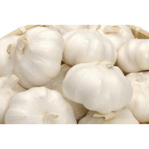 にんにくパウダー 80g 石川ファーム /無農薬の詳細画像2