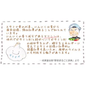 にんにくパウダー 80g 石川ファーム /無農薬の詳細画像3