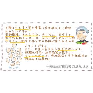 きな粉 80g 石川ファーム /無農薬の詳細画像2