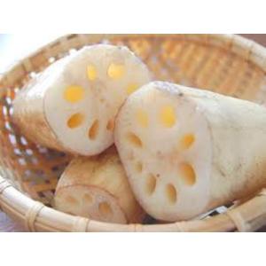 れんこんパウダー 60g 石川ファーム /無農薬の詳細画像1