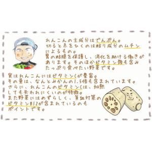 れんこんパウダー 60g 石川ファーム /無農薬の詳細画像2