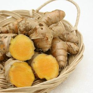 秋ウコンパウダー 80g 石川ファーム /無農薬の詳細画像2