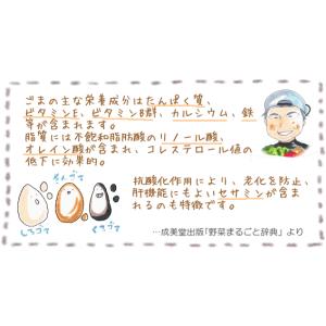 煎り金ごま 80g 石川ファーム /無農薬・国産の詳細画像2