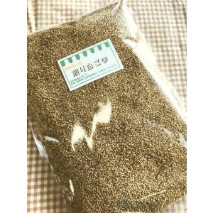 煎り白ごま　500g　石川ファーム　/無農薬・国産