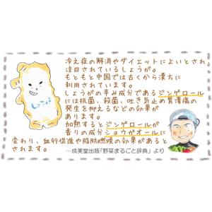 しょうがパウダー 500g 石川ファーム /無農薬の詳細画像1