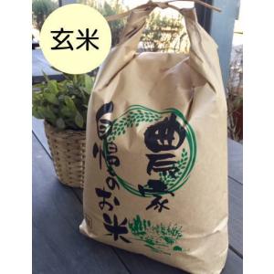 玄米5kg 　石川ファーム　自然栽培米/無農薬　R6年新米
