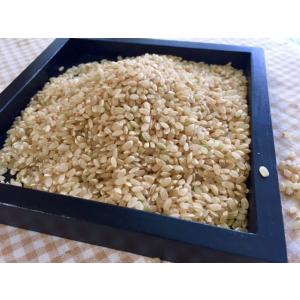 玄米5kg 石川ファーム 自然栽培米/無農薬 ...の詳細画像1