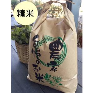 【お取り寄せ】精米5kg (5分づき) 　石川ファーム　自然栽培米/無農薬　R5年｜Crea(クリエ)